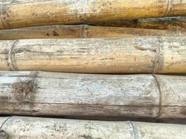 seco bambu Gravetos estão Castanho foto
