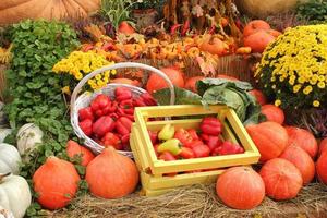 abóbora orgânica e vegetais em caixa de madeira na feira agrícola. colhendo o conceito de tempo de outono. jardim queda planta natural. decoração de halloween de ação de graças. fundo rural de fazenda festiva. comida vegana. foto