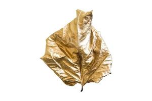 4887 dourado folha isolado em uma transparente fundo foto