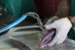 maldivas masculinas limpando as mãos de peixe no mercado foto