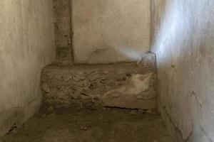 bordel de casa de prazer em ruínas de pompeia foto