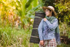 jovem bonita agricultor mulher em pé em terras agrícolas e inspecionando agrícola cultivo foto