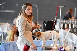 Génova, Itália - pode 21 2016 - anual público internacional cachorro mostrar foto