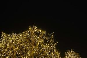 Maravilhoso árvore com pequeno luzes às uma Natal mercado com Preto céu dentro a fundo foto