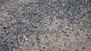 seixos de praia de areia em nyc foto