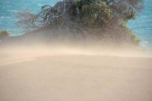 dunas de areia da praia deserta em dia de vento foto