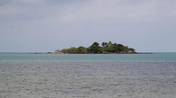 a ilha através a mar não tão longe com uma muitos do árvore e verde. foto