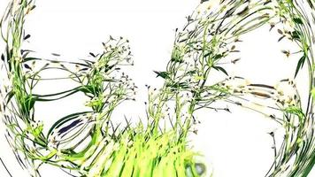 renderização digital de flores silvestres de arte botânica foto