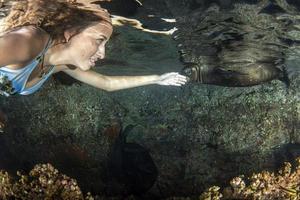 sereia nadando debaixo d'água no mar azul profundo com uma foca foto