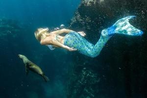 mar leão e sereia embaixo da agua foto