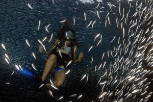 beaytiful latina mergulhador dentro de um cardume de peixes foto