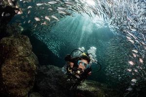 beaytiful latina mergulhador dentro de um cardume de peixes foto