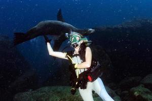 Loiras mulher jogando com mar leão foto