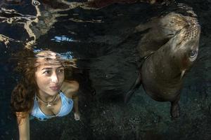 sereia nadando debaixo d'água no mar azul profundo com uma foca foto