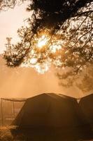 barraca acampamento dentro a manhã . às thung Salaeng luang nacional parque phetchabun província, Tailândia foto