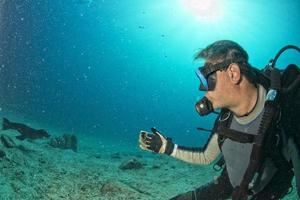 mergulhador e filhote de leão-marinho debaixo d'água olhando para você foto