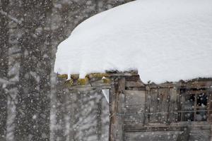 cabana de montanha sob a neve foto