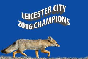 papel de parede do clube de futebol real fox leicester city foto