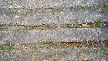 velhas estradas de concreto que começaram a quebrar e estão cobertas de musgo foto