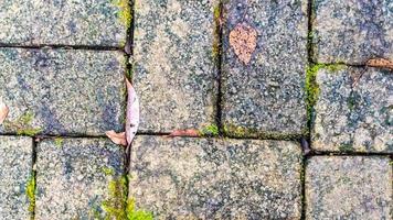 bloco de pavimentação com folhas de outono como pano de fundo foto