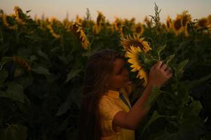 uma feliz jovem menina com grandes cabelo dentro uma Palha chapéu carrinhos dentro uma ampla campo do girassóis. verão dia. uma caloroso pôr do sol. foto