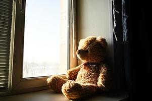 fofo Castanho Urso de pelúcia urso, sentado em a janela. foto