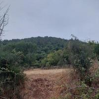 lindo natural cenário com montanhas foto