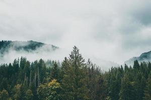 majestoso montanhas dentro a Alpes coberto com árvores e nuvens foto