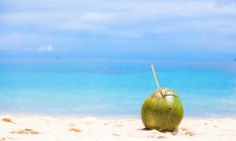 Visão do uma coco em a de praia foto