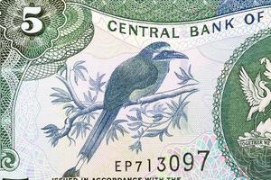 de coroa azul divisa a partir de dinheiro do trinidad e tobago foto
