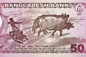 imagem - aração uma campo a partir de Bangladeshi dinheiro foto