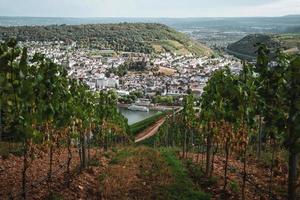 Visão do a Rhein a partir de uma vinícola durante outono foto