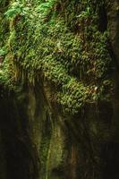 majestoso desfiladeiros du pont du diable caverna dentro França foto