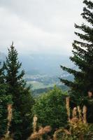 majestoso montanhas dentro a Alpes coberto com árvores e nuvens foto