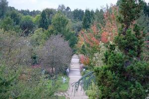 horário de verão no jardim foto