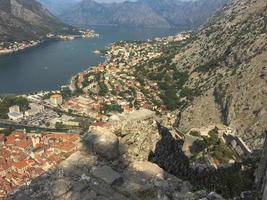 kotor dentro Montenegro foto