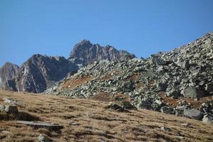 dentro a suíço montanhas foto