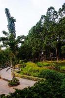 cênico Visão do uma jardim panorama com surpreendente plantas e flores paisagens dentro a público parque debaixo uma nublado céu foto