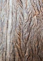 textura abstrata na superfície da velha placa de madeira foto