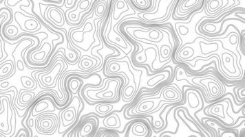 abstrato topográfico contornos mapa fundo. geográfico montanha alívio. moderno em branco detalhado topográfico contorno mapa sutil branco fundo. foto