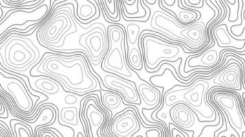 abstrato topográfico contornos mapa fundo. geográfico montanha alívio. moderno em branco detalhado topográfico contorno mapa sutil branco fundo. foto