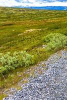 bela montanha e paisagem paisagem natureza parque nacional rondane noruega. foto