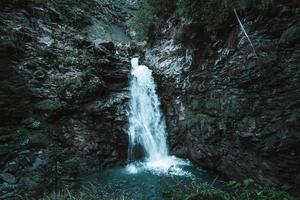 majestoso cascata cercado de árvores dentro a Alpes foto