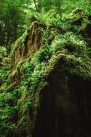 majestoso desfiladeiros du pont du diable caverna dentro França foto