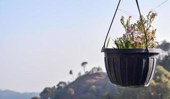 vista matinal do restaurante moderno na cobertura em kasauli, himachal pradesh na índia, vista das montanhas do restaurante ao ar livre em kasauli, restaurante na cobertura kasauli foto