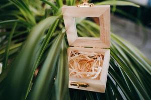 Casamento ouro argolas dentro uma de madeira caixa em a verde grama. Casamento acessórios para a cerimônia. foto