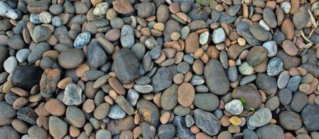 pedras de seixo coloridas naturais foto