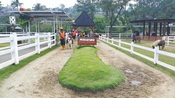 bogor, Indonésia, dezembro 20, 2022 - crianças passeio uma pequeno cavalo ou pónei com guiado de homens vestido dentro cowboys às cimório leiteria foto