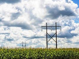 torre de transmissão de eletricidade e linhas no campo de milho com céu azul nublado foto