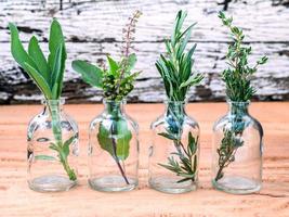 garrafas de vidro com ervas frescas foto